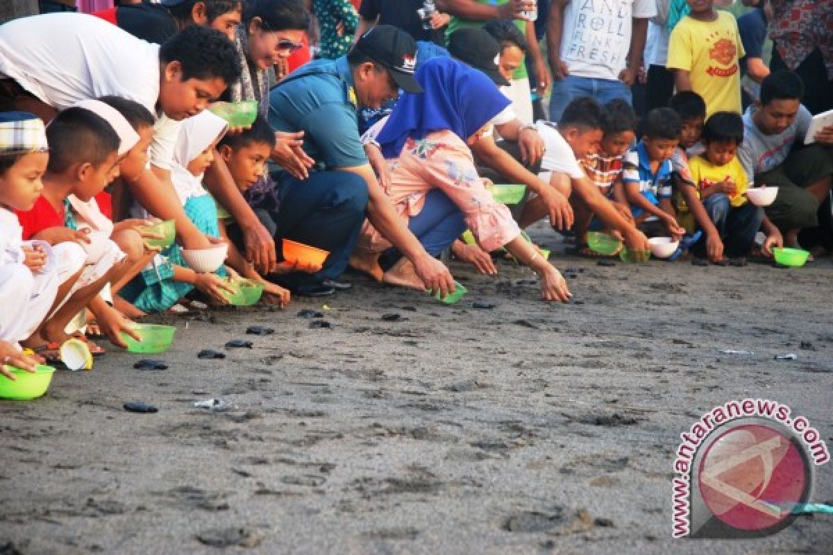 BKSDA Dorong Mataram Kembangkan Wisata Konservasi Penyu 