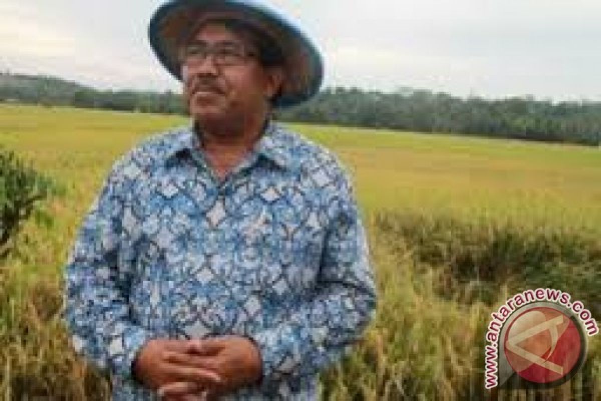 Penajam Jadi Percontohan Pertanian Berbasis Mekanisasi 