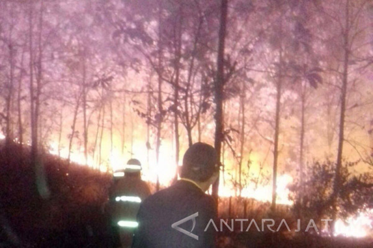Damkar Bojonegoro Padamkan Kebakaran Hutan