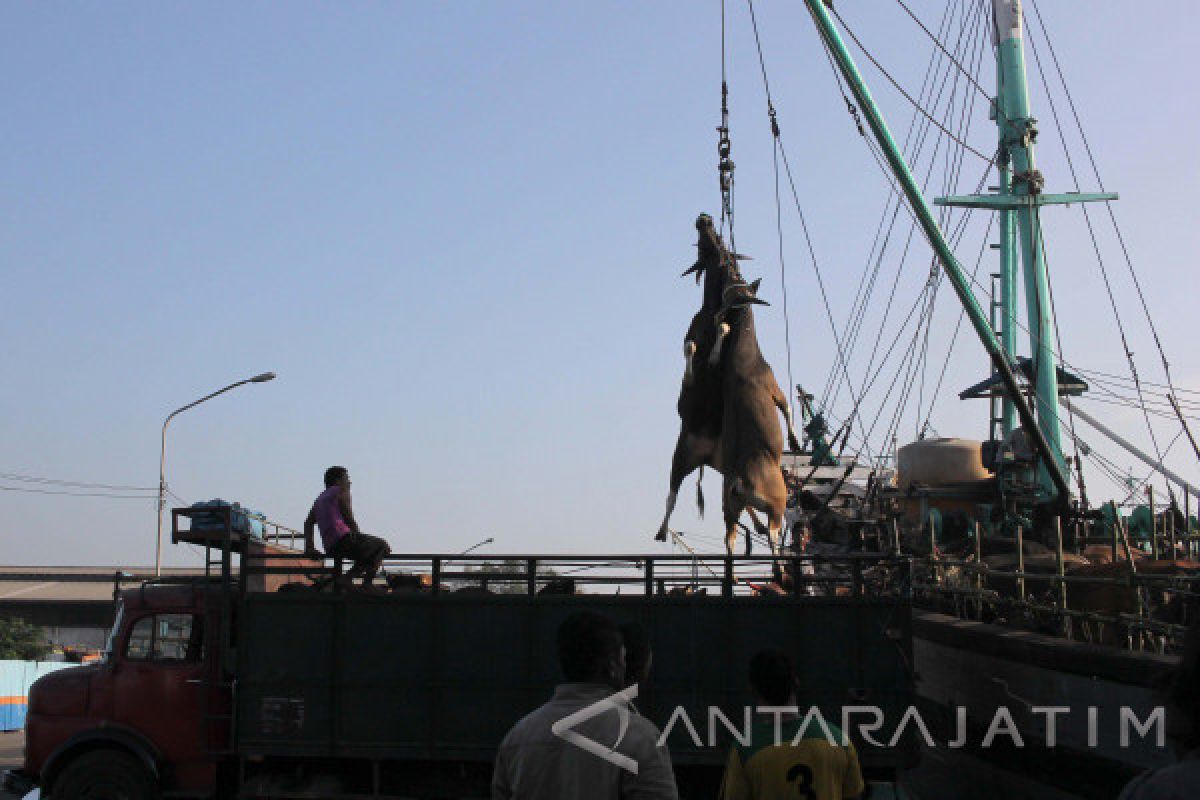 Kadin Dorong Otoritas Pelabuhan Berkontribusi pada Pengusaha