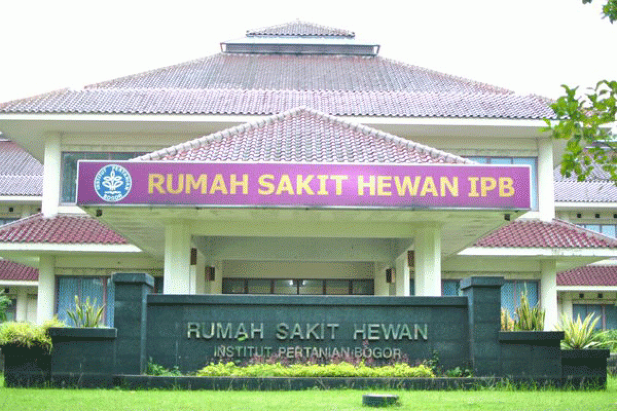 Rumah Sakit Hewan Pendidikan FKH IPB : Terbaik, Terluas, Dan Terlengkap Di Indonesia