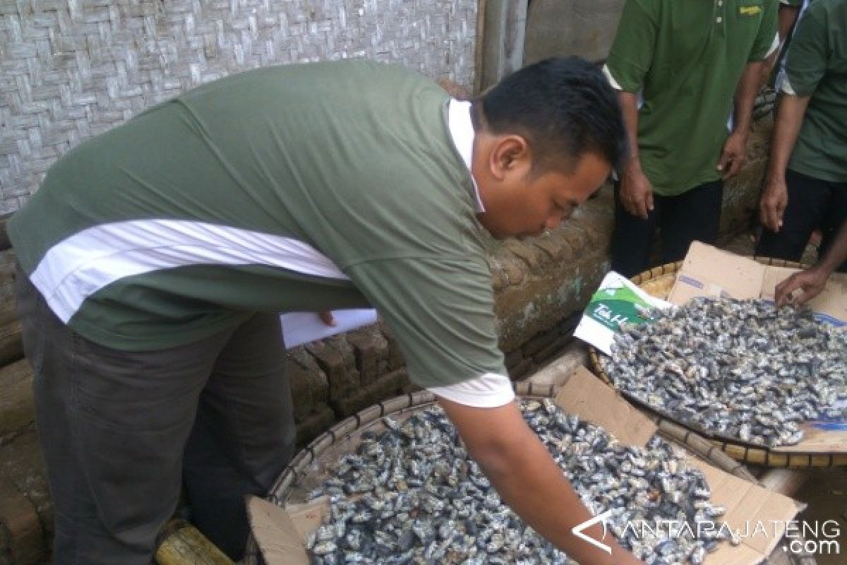 Komunitas Padhang Bulan Widarapayung Kembangkan Kuliner "Yutuk"