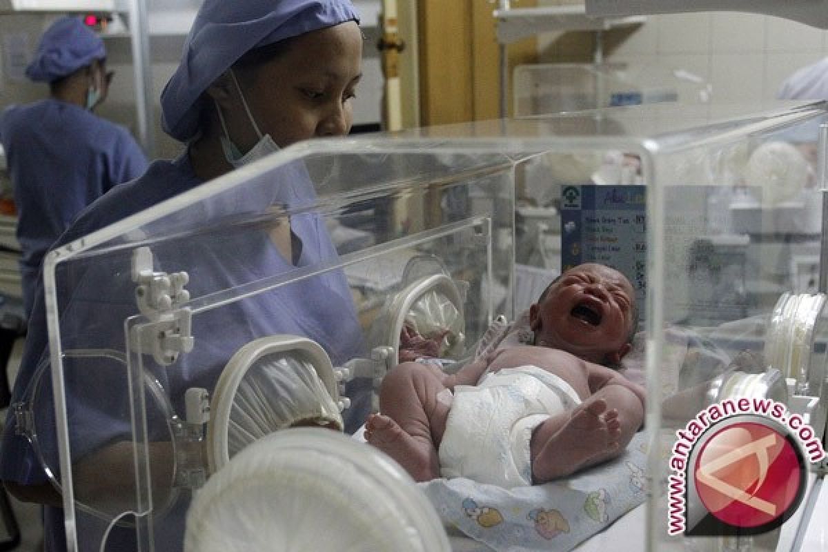 Bayi Seberat 6,3 Kilogram Lahir di Ngabang