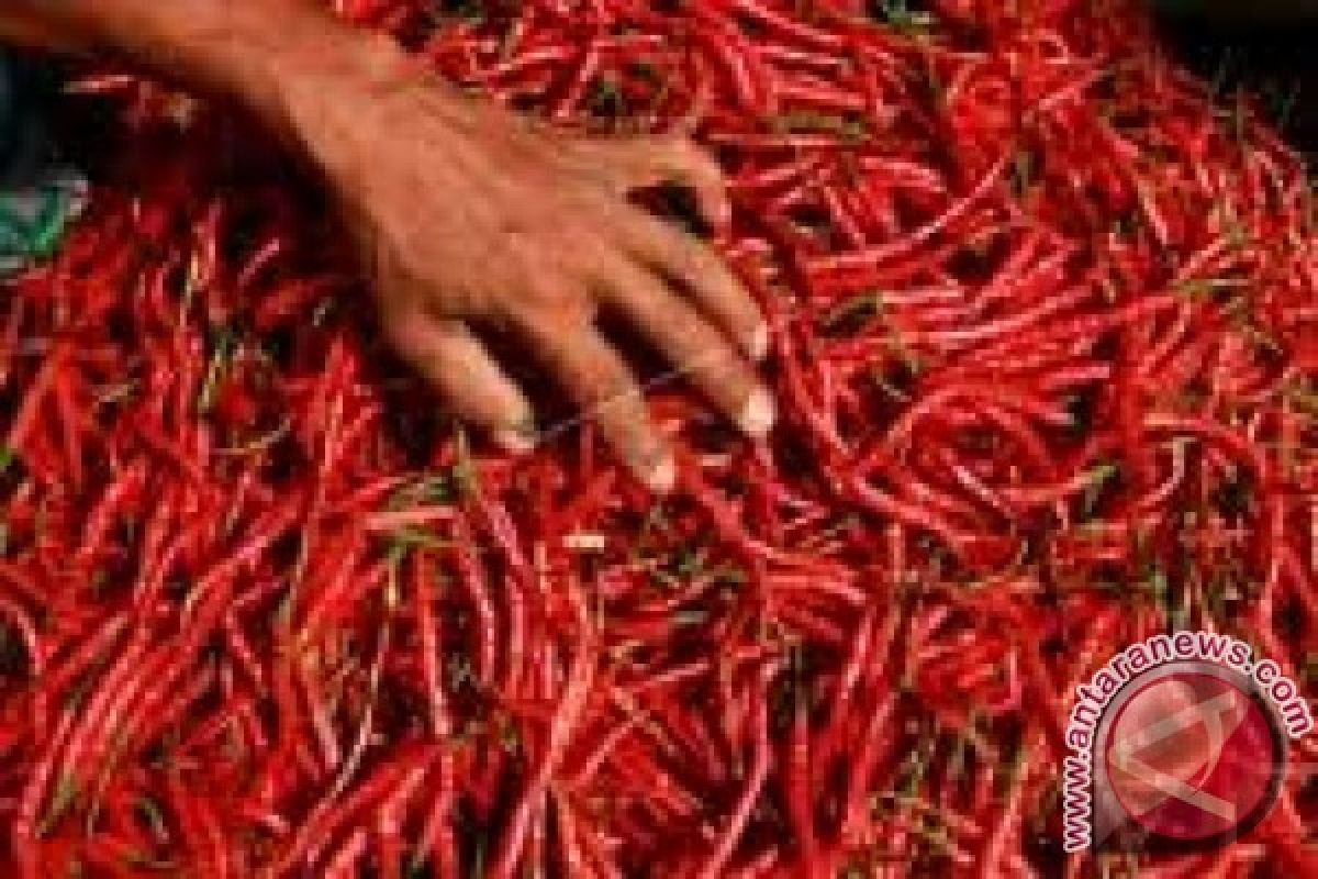 Harga Cabai Merah Keriting Tembus Rp34.500/KG