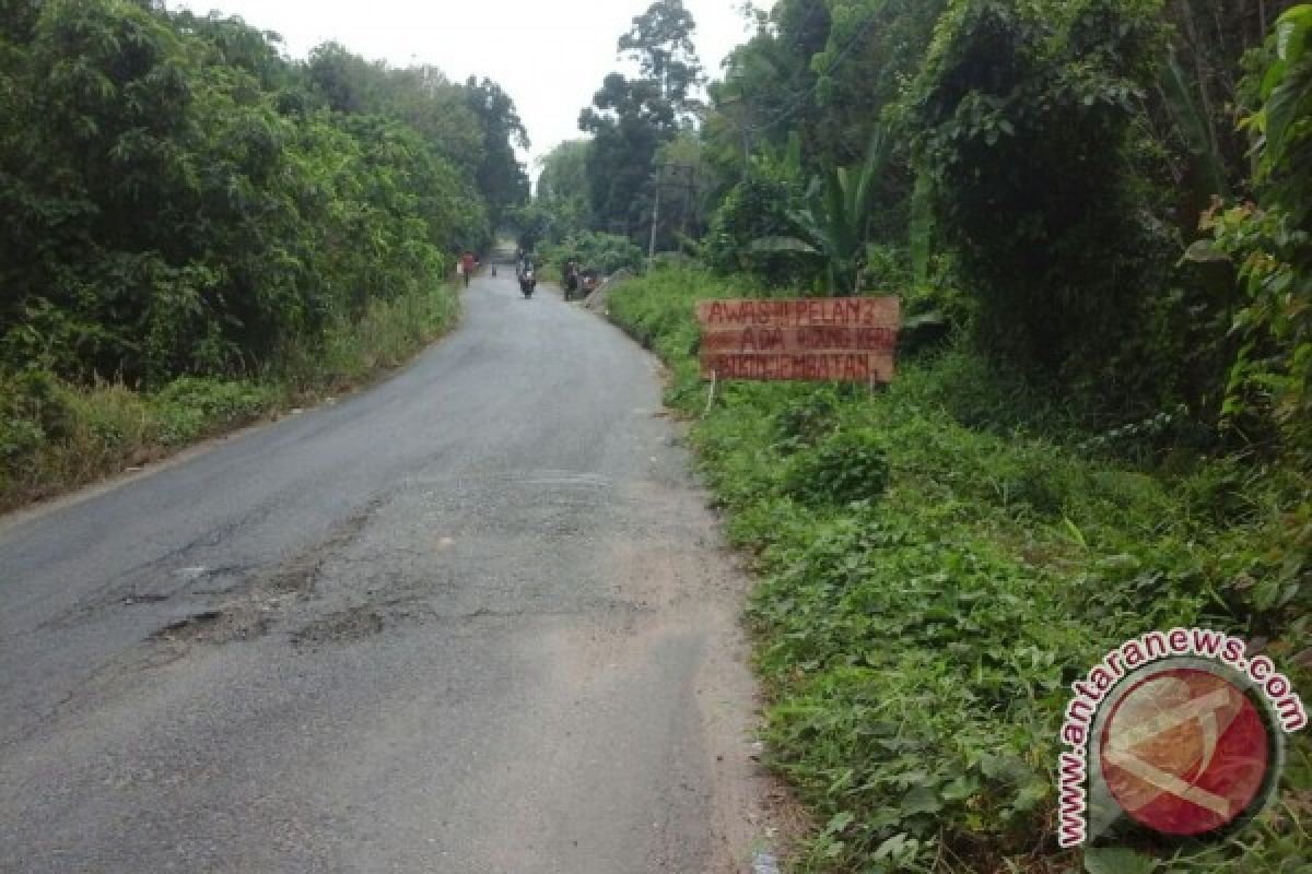 Jalan pesisir timur OKI diperbaiki