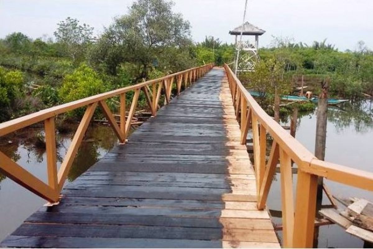 UI kembangkan wisata mangrove di Nusakambangan