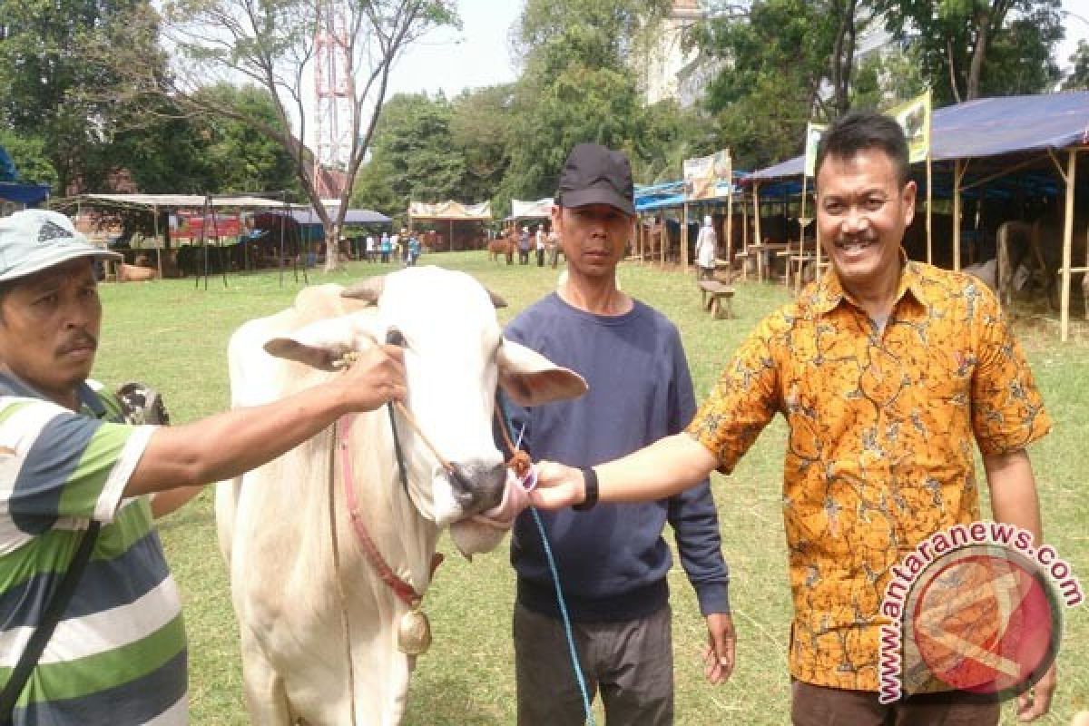 Bursa Hewan Kurban Kota Bogor Kian Diminati (Video)