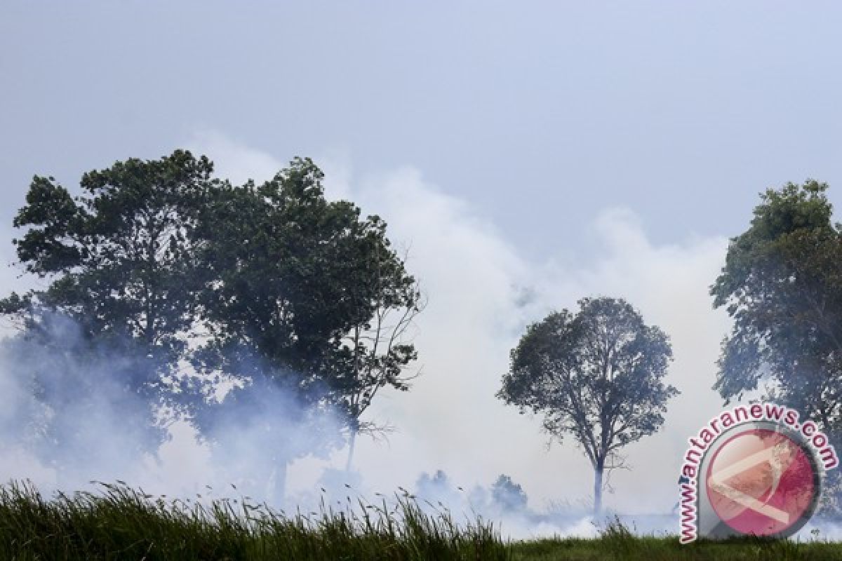 Meningkatkan kewaspadaan ancaman "karhutla" di Sumsel