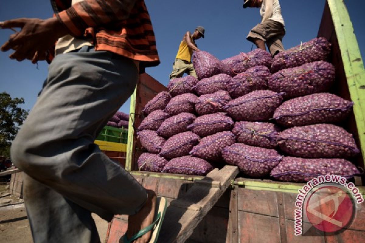 Eskpor Bawang ke Timor Leste Terkendala Harga 