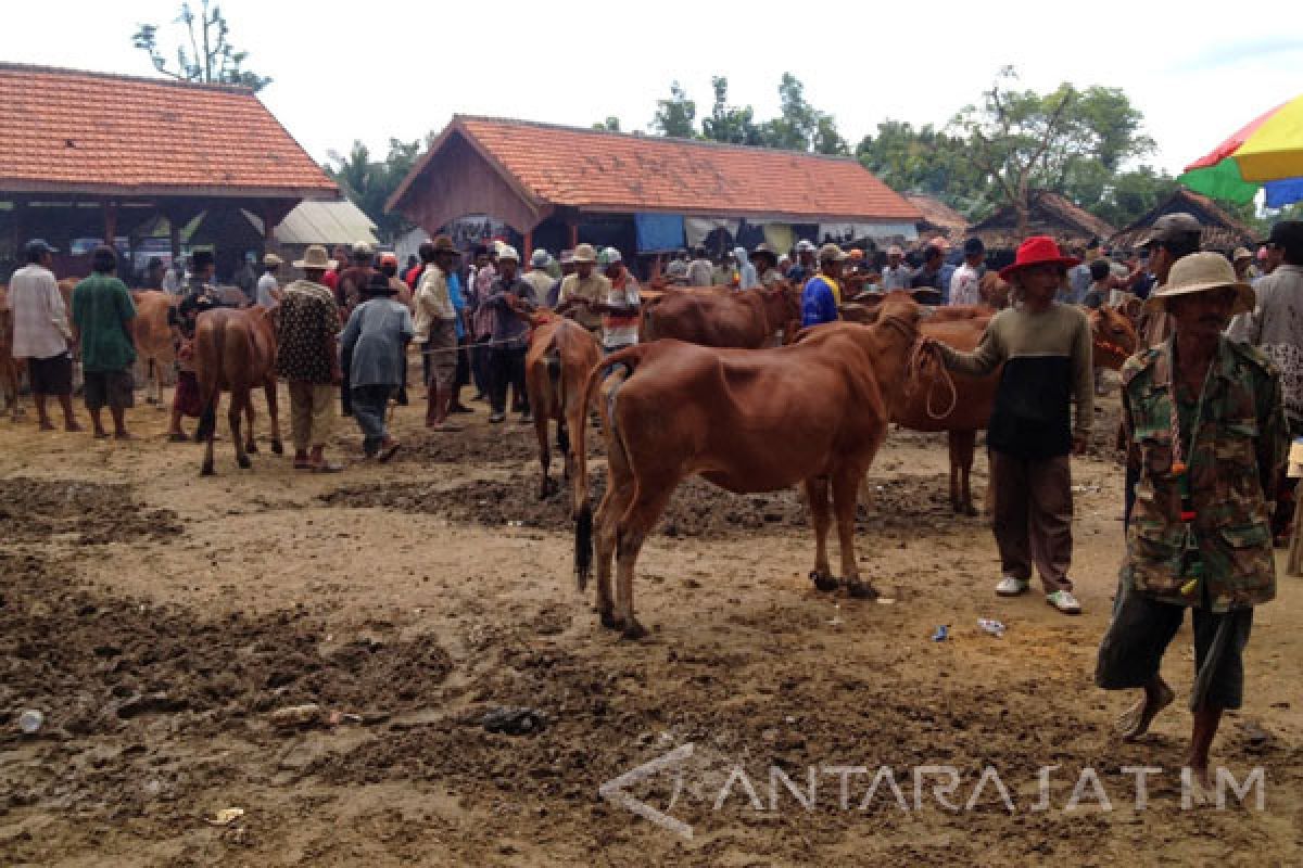 Pemkab Bangkalan Keluarkan Edaran Teknik Sembelih Hewan Halal