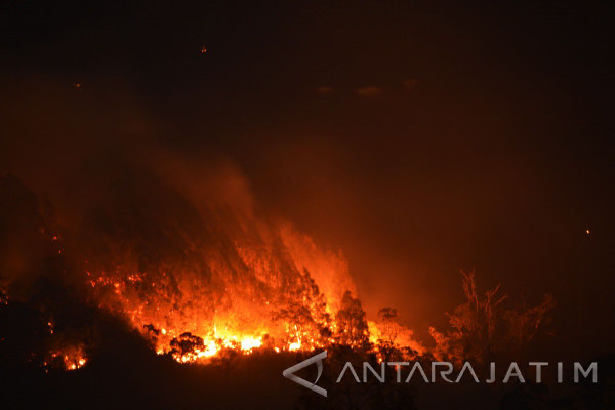 Gunung Lawu Terbakar, Jalur Pendakian Ditutup 