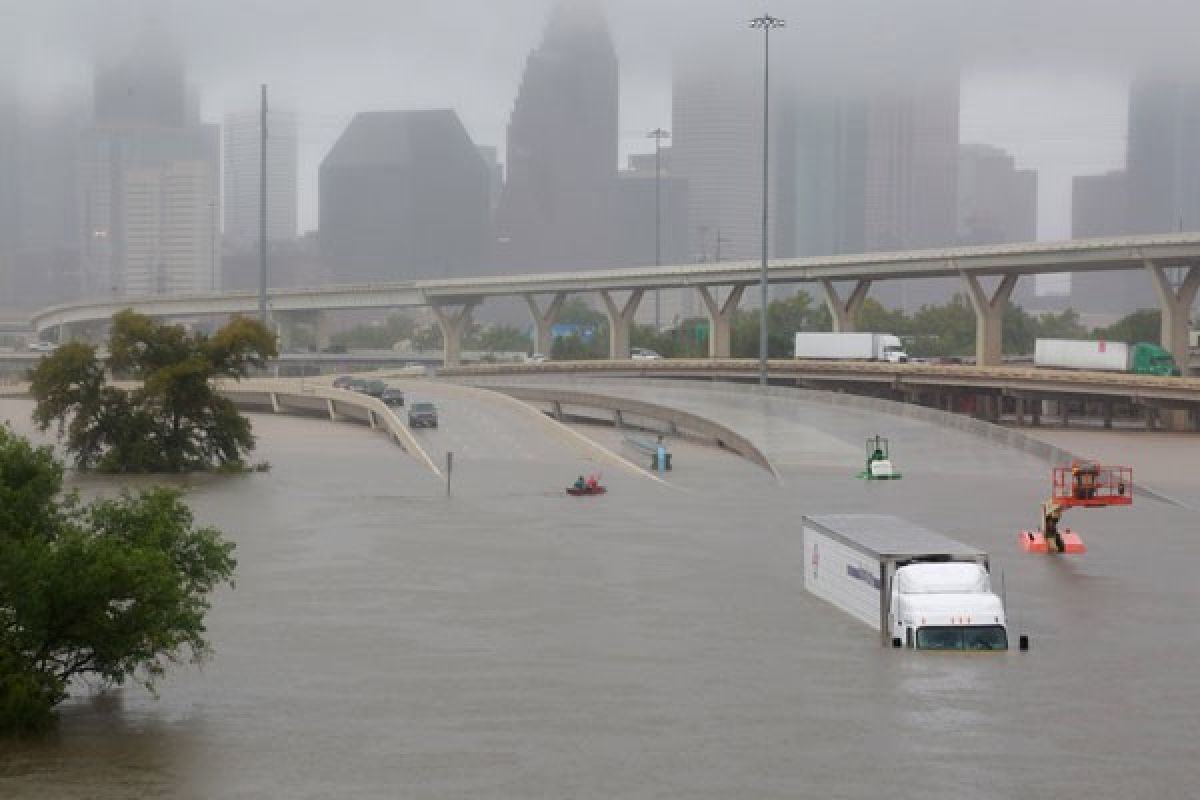 Semut api yang hanyut menambah ancaman buat warga Houston