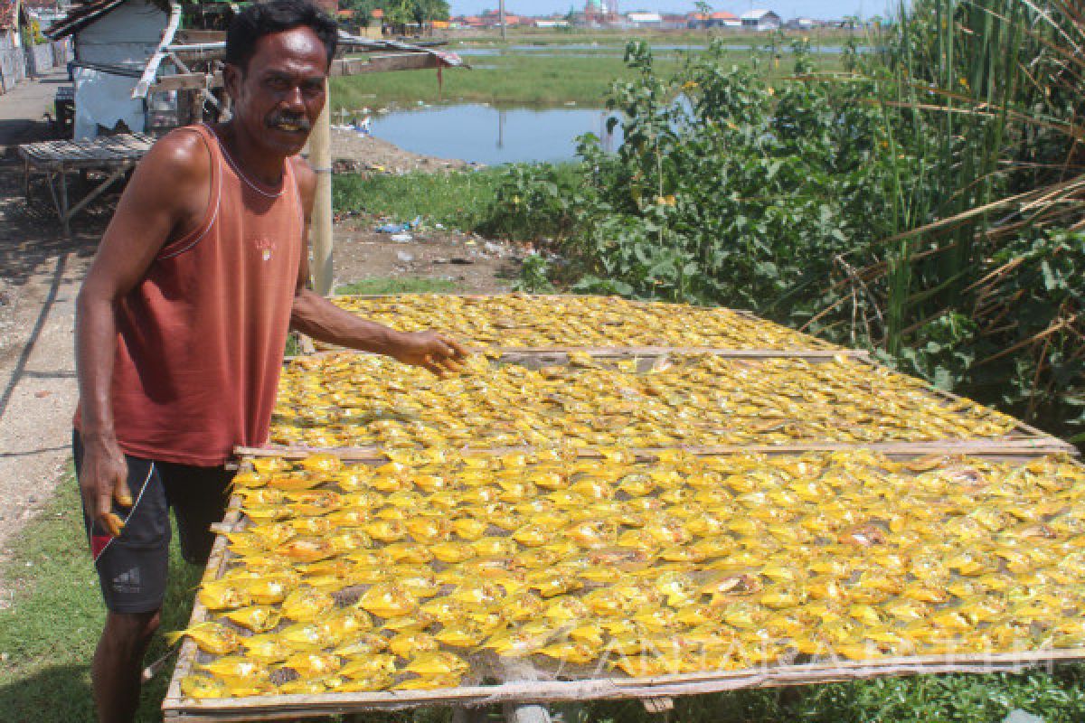 Ikan Air Tawar Dijadikan Ikan Asin di Probolinggo