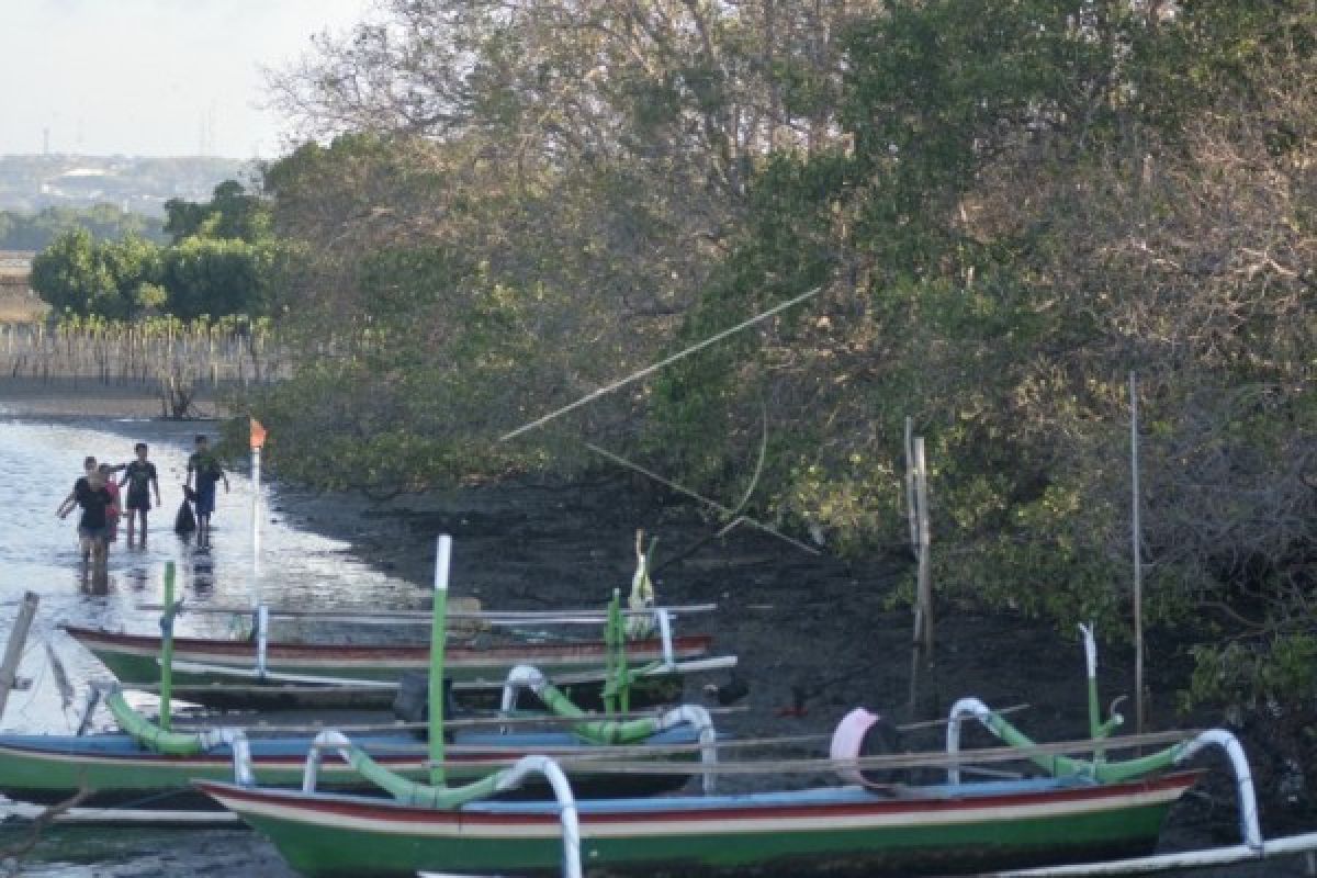 Warga Batu Ampar pertahankan pembuatan arang mangrove