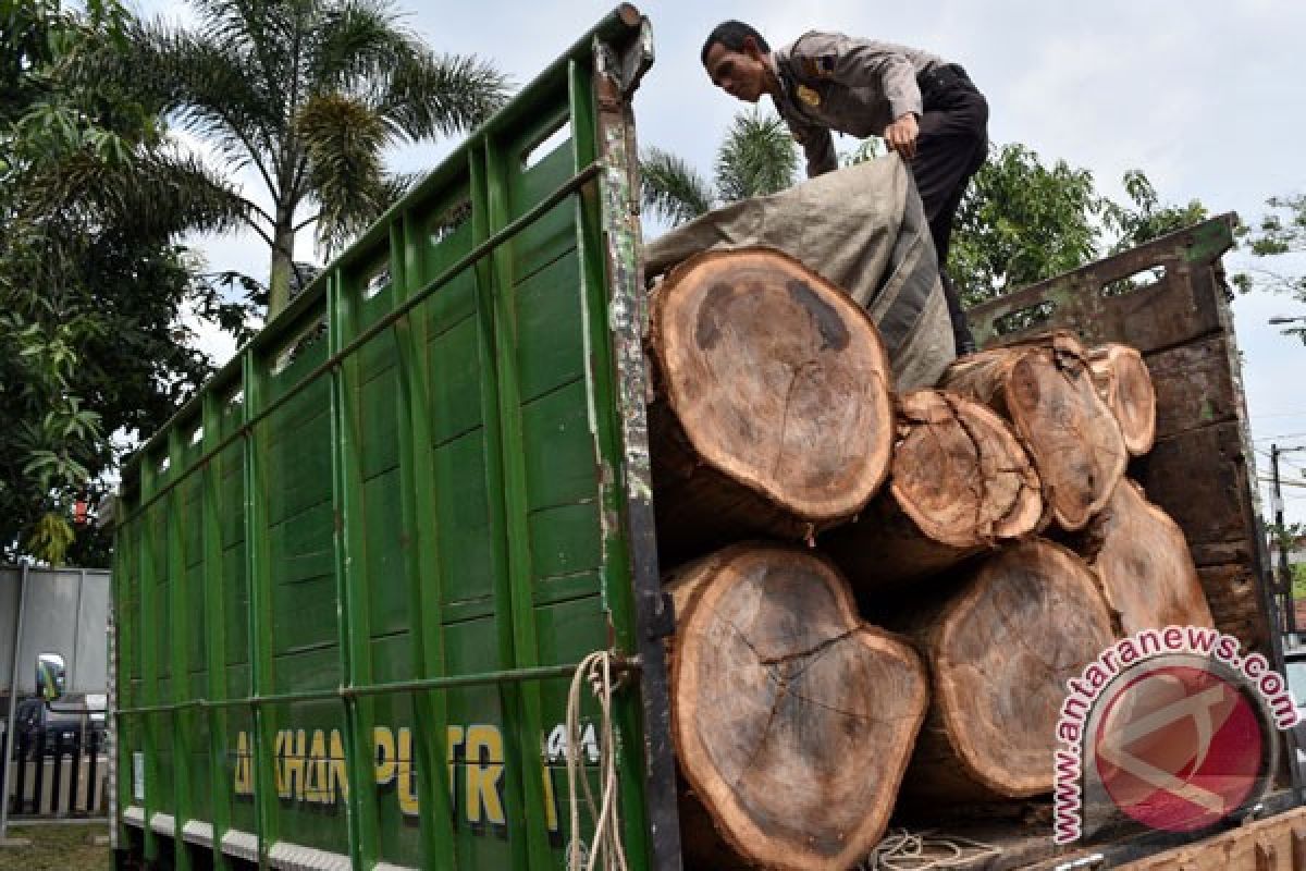 KLHK amankan tiga kontainer kayu ilegal di Riau