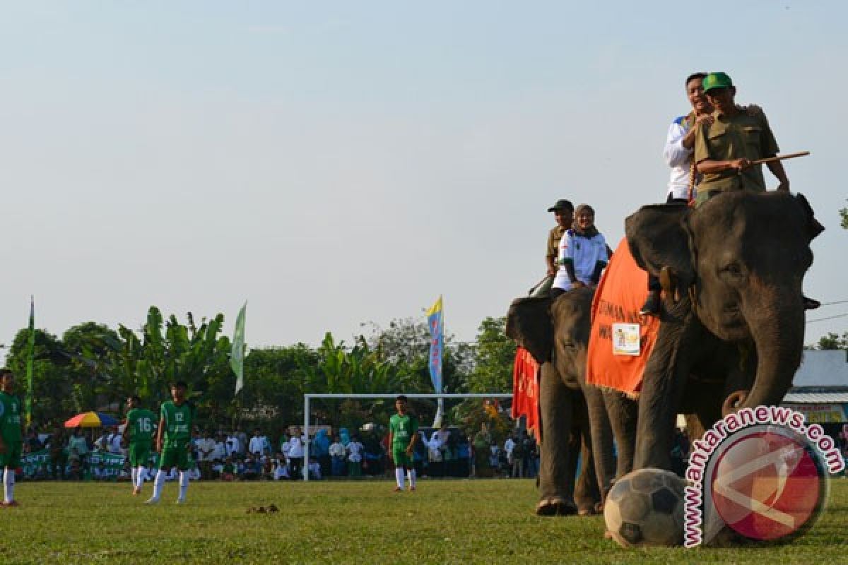 Imam Nahrawi dan "Sepak Bola Gajah"