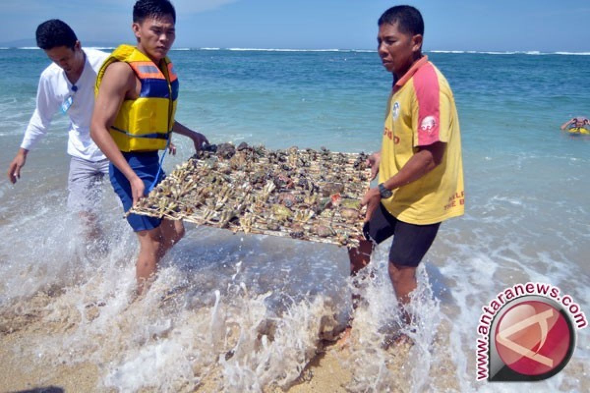 Kasus Penyelundupan Ratusan Koral Diserahkan ke BKSDA NTB
