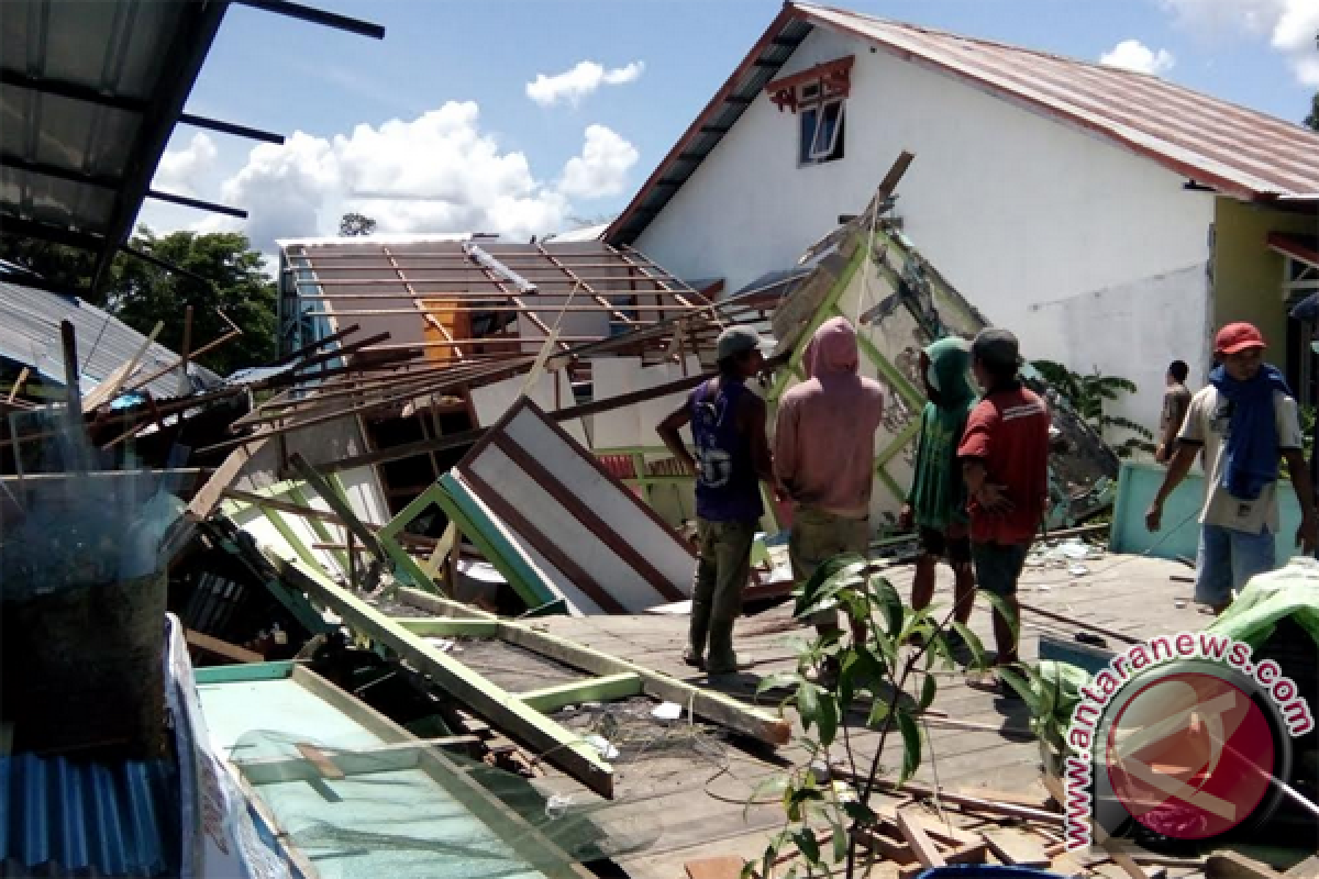 Dua rumah ambruk tertimpa pohon