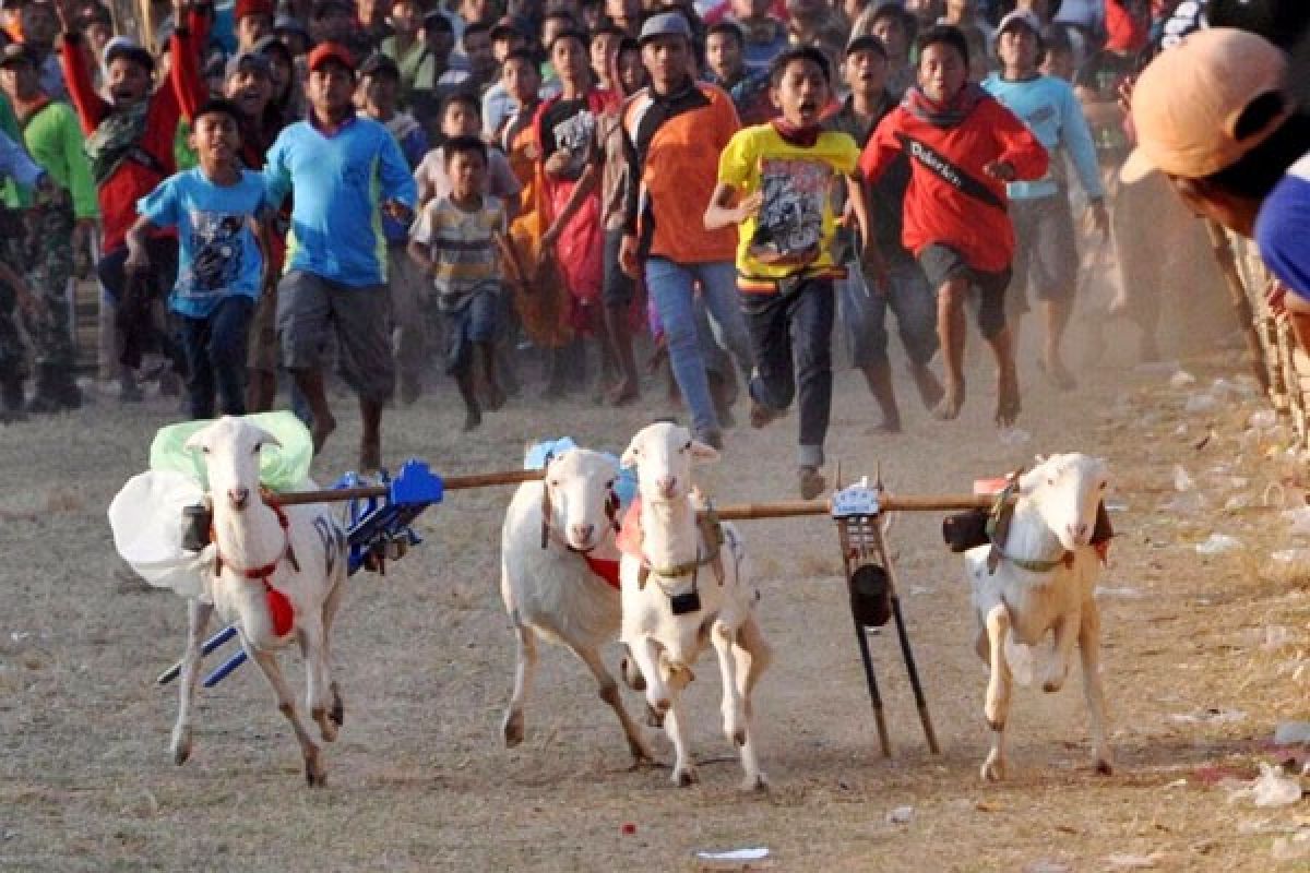 Semipro Diharapkan Dongkrak Wisata Budaya Probolinggo