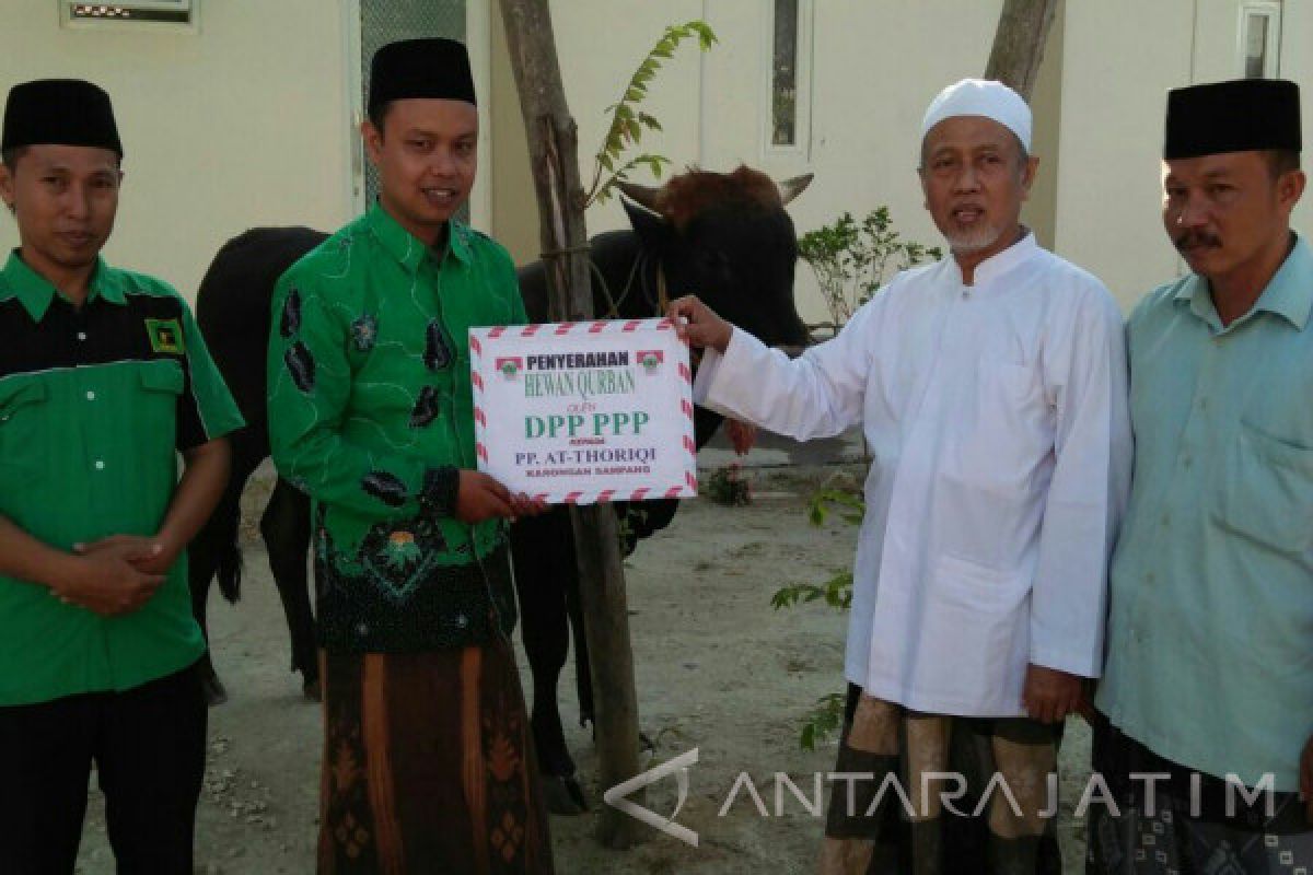 PPP Salurkan 11 Ekor Sapi Kurban di Madura