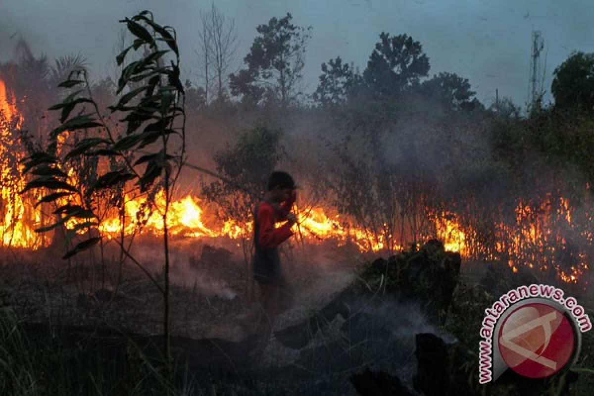 Hutan Pegunungan Rahtawu Kudus terbakar