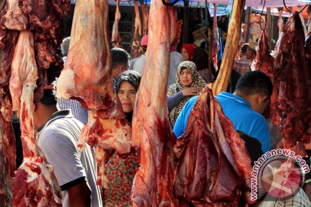 Pakar IPB ingatkan pentingnya protein hewani