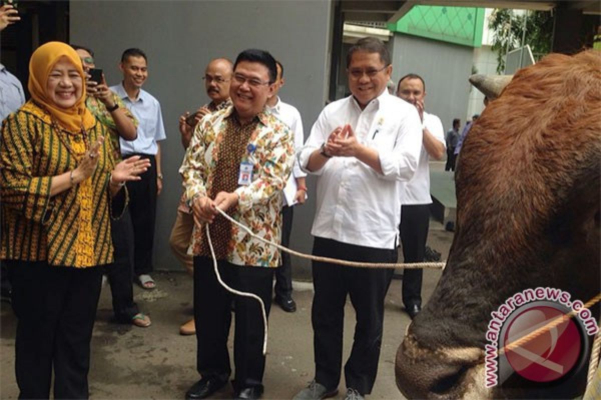 Rudiantara serahkan sapi metal untuk qurban di Kemkominfo