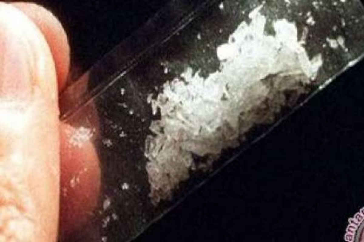 BNNP Riau Bantah Dirut BUMD PT PIR yang Diamankan