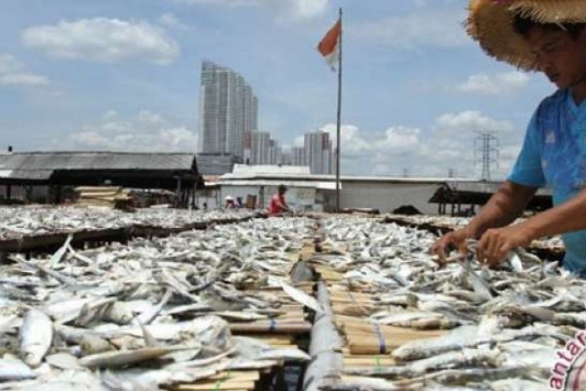 Disperindag Siak Klaim Harga Ikan Asin Di Pasaran Masih Normal