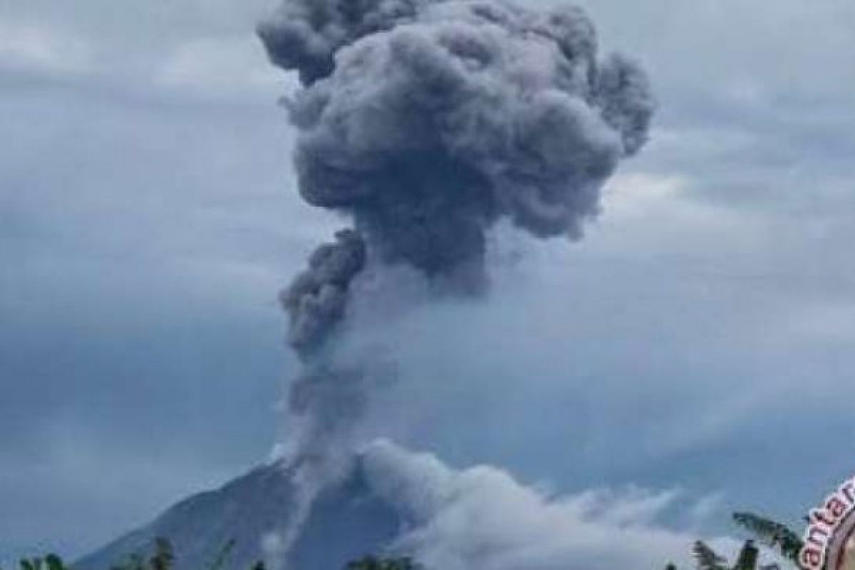 Erupsi Gunung Sinabung Musnahkan Tanaman Tembakau Warga