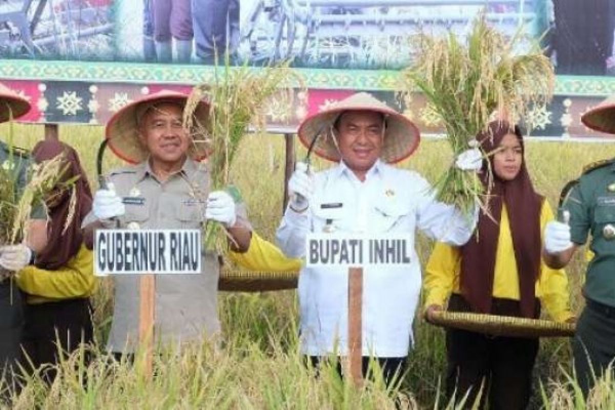 Gubri Imbau Warga Inhil Untuk Tidak Alih Fungsi Lahan Persawahan