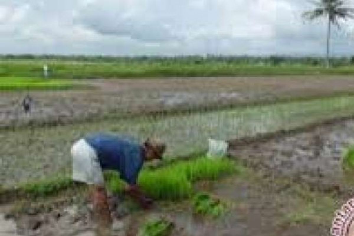   Lahan Pertanian-Perikanan Untuk Kepentingan Petani-Nelayan