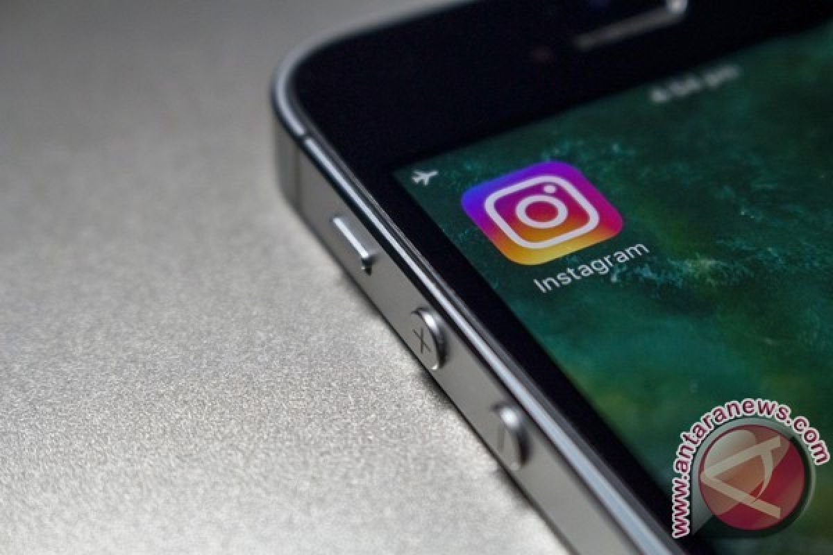 Instagram uji fitur repost dan stiker GIF