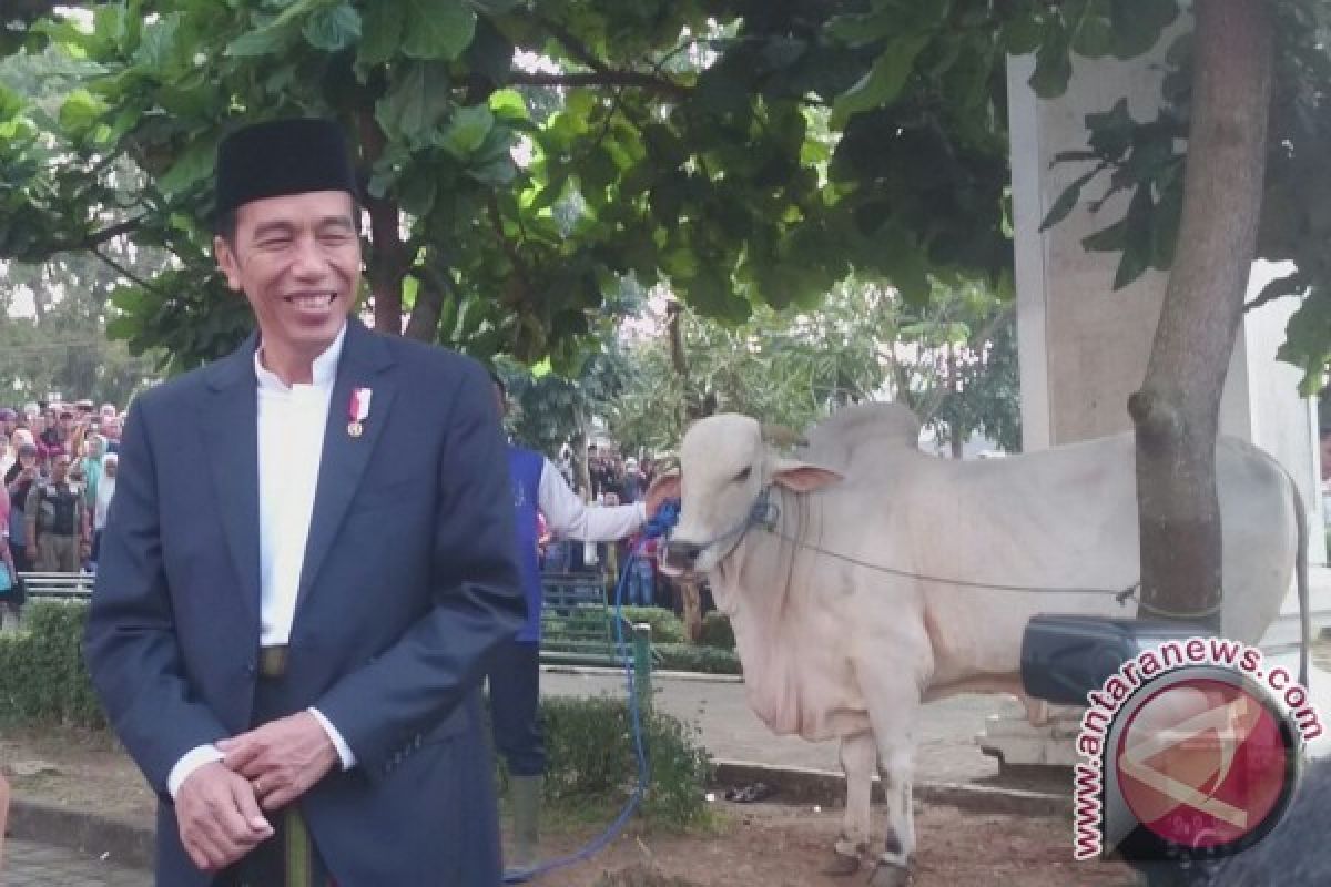 Presiden Jokowi blusukan di kota Sukabumi sambangi warga