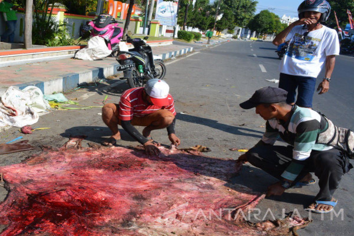 Idul Adha, Omzet Pedagang Kulit Sapi di Situbondo Meningkat