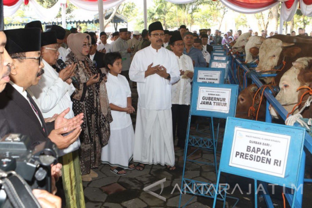 Pakde Karwo Serahkan Sapi Kurban Jokowi ke Masjid Al-Akbar