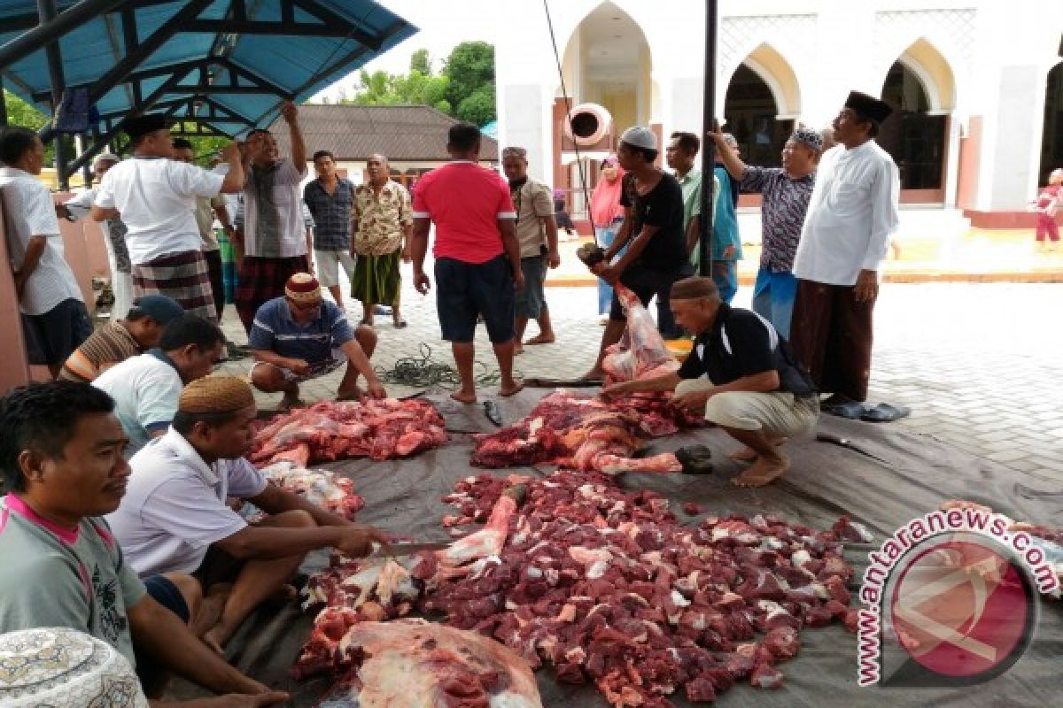 BAZNAS salurkan daging kurban hingga ke pelosok negeri