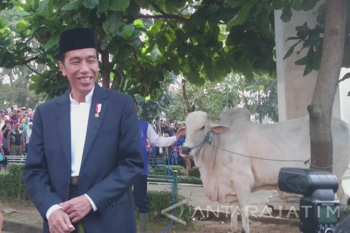 Jokowi Target Tol Bogor-Ciawi-Sukabumi Selesai Dua Tahun (Video)