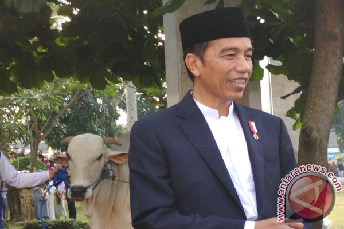 Tiga Permintaan Wali Kota Dikabulkan Presiden Jokowi (Video)