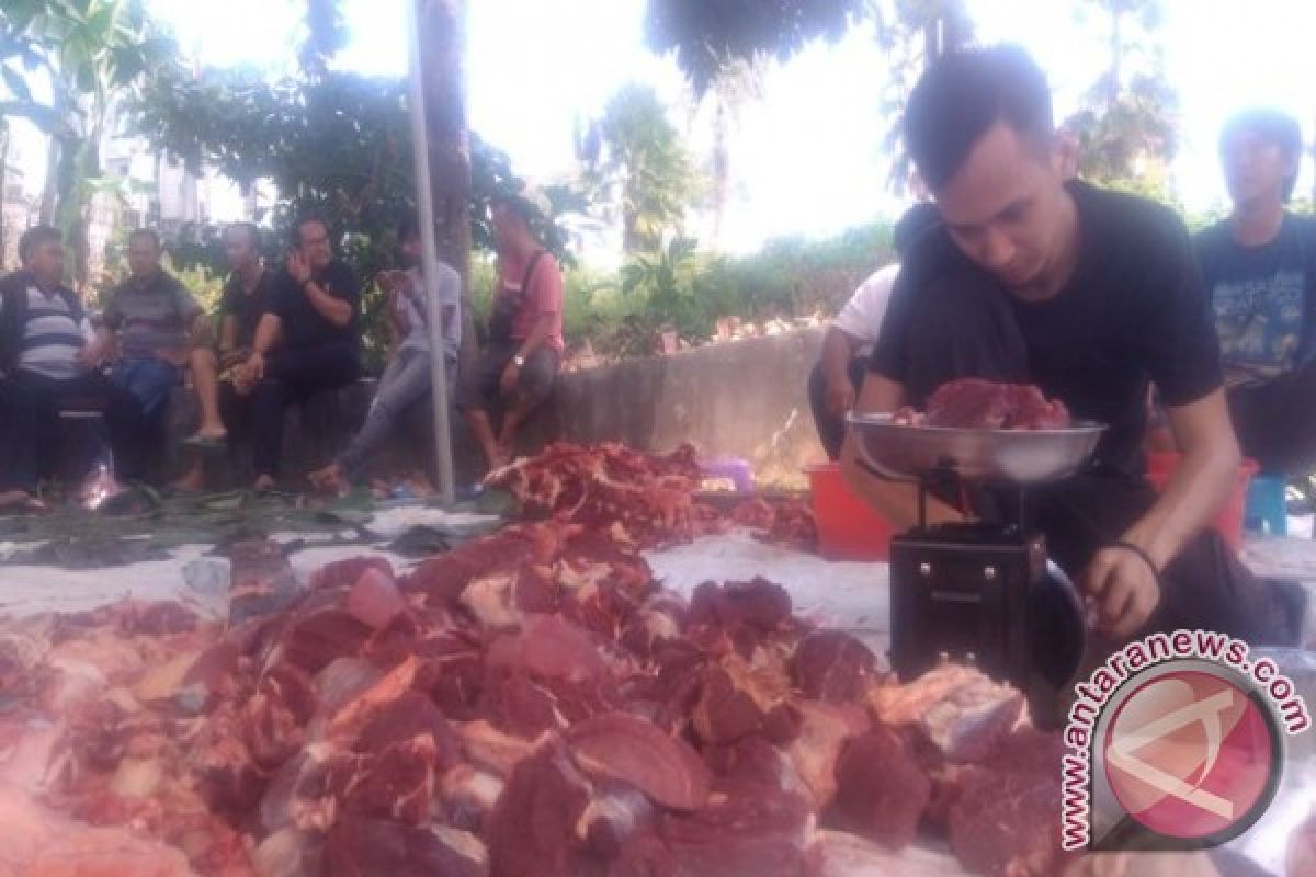 PWI Kepulauan Babel Sembelih Enam Ekor Hewan Kurban