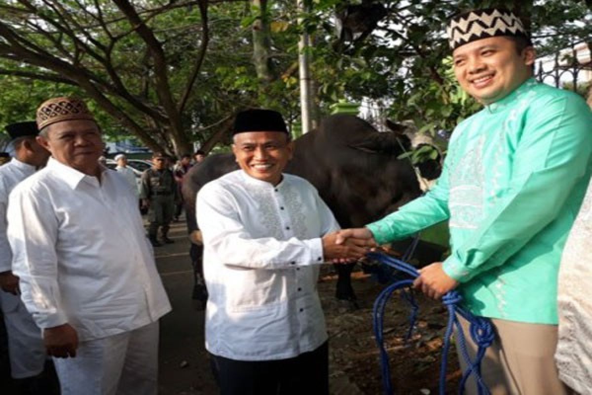 Gubernur Lampung Serahkan 104 Sapi Kurban  