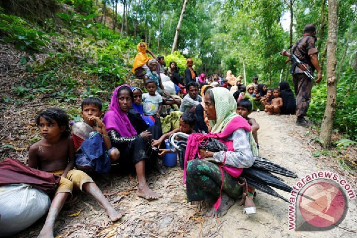 OKI dinilai tidak maksimal lindungi muslim Rohingya