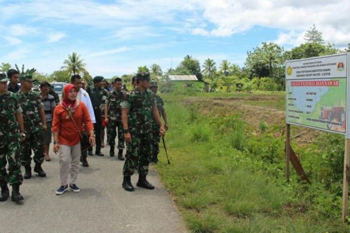 Danrem 173/PVB tinjau lahan sawah baru di Nabire