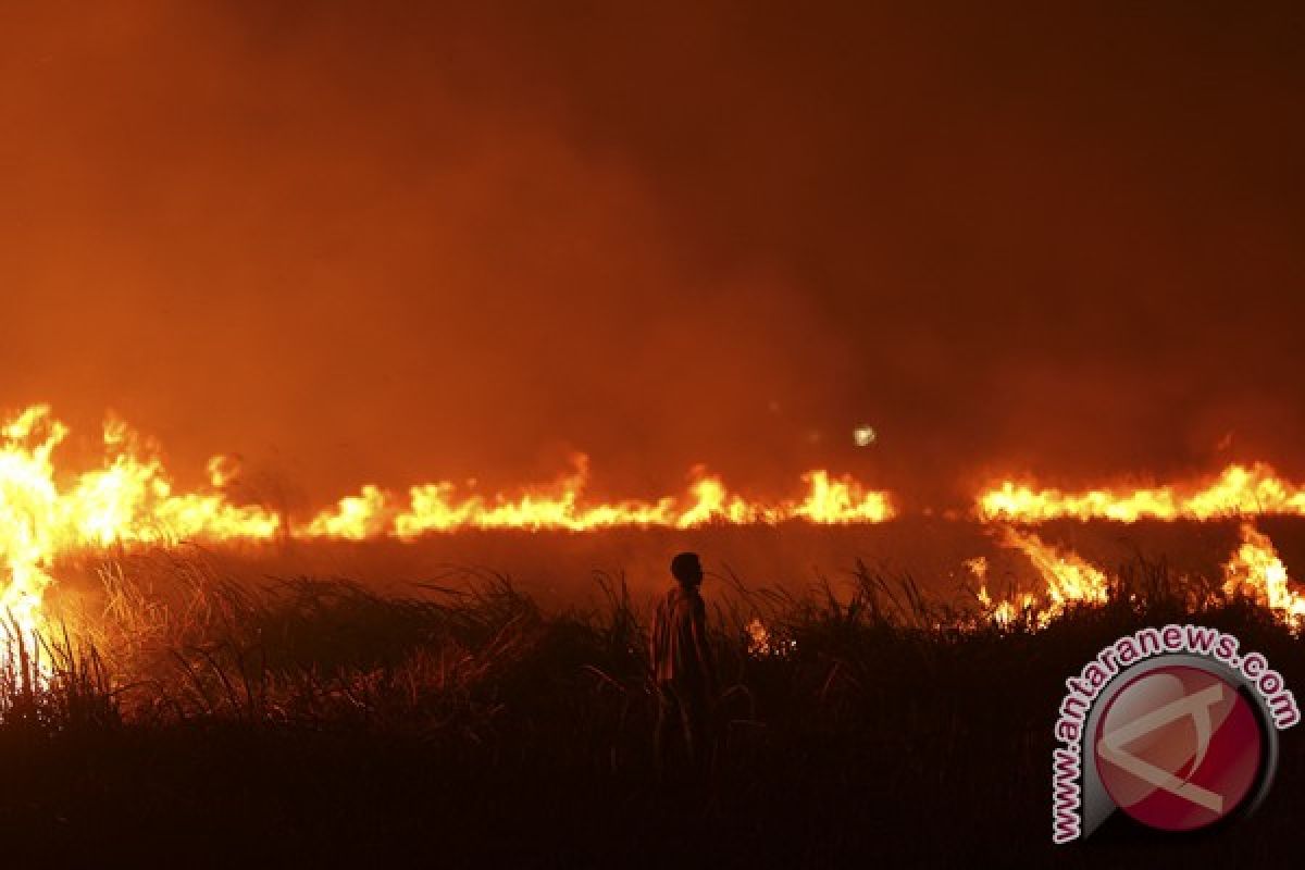 Kasus hukum karhutla kerap sulit dapatkan saksi 