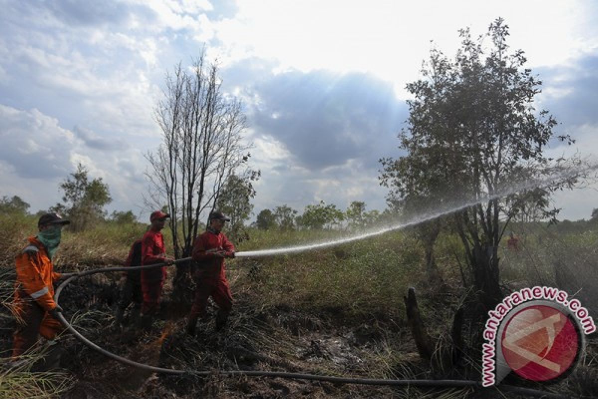 BPBD siagakan personel antisipasi kebakaran hutan