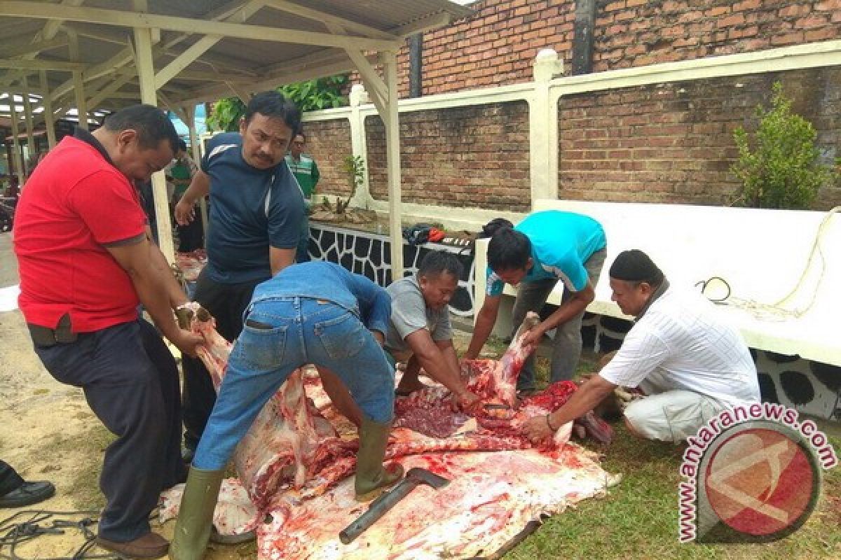 Pengadilan Tiadakan Sidang Karena Potong Hewan Kurban