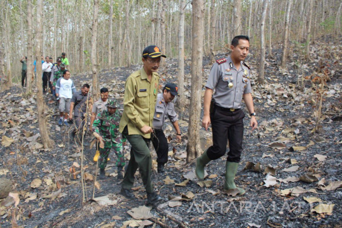 Penyebab Kebakaran Hutan Manggar Jember Diduga Ulah Pemburu
