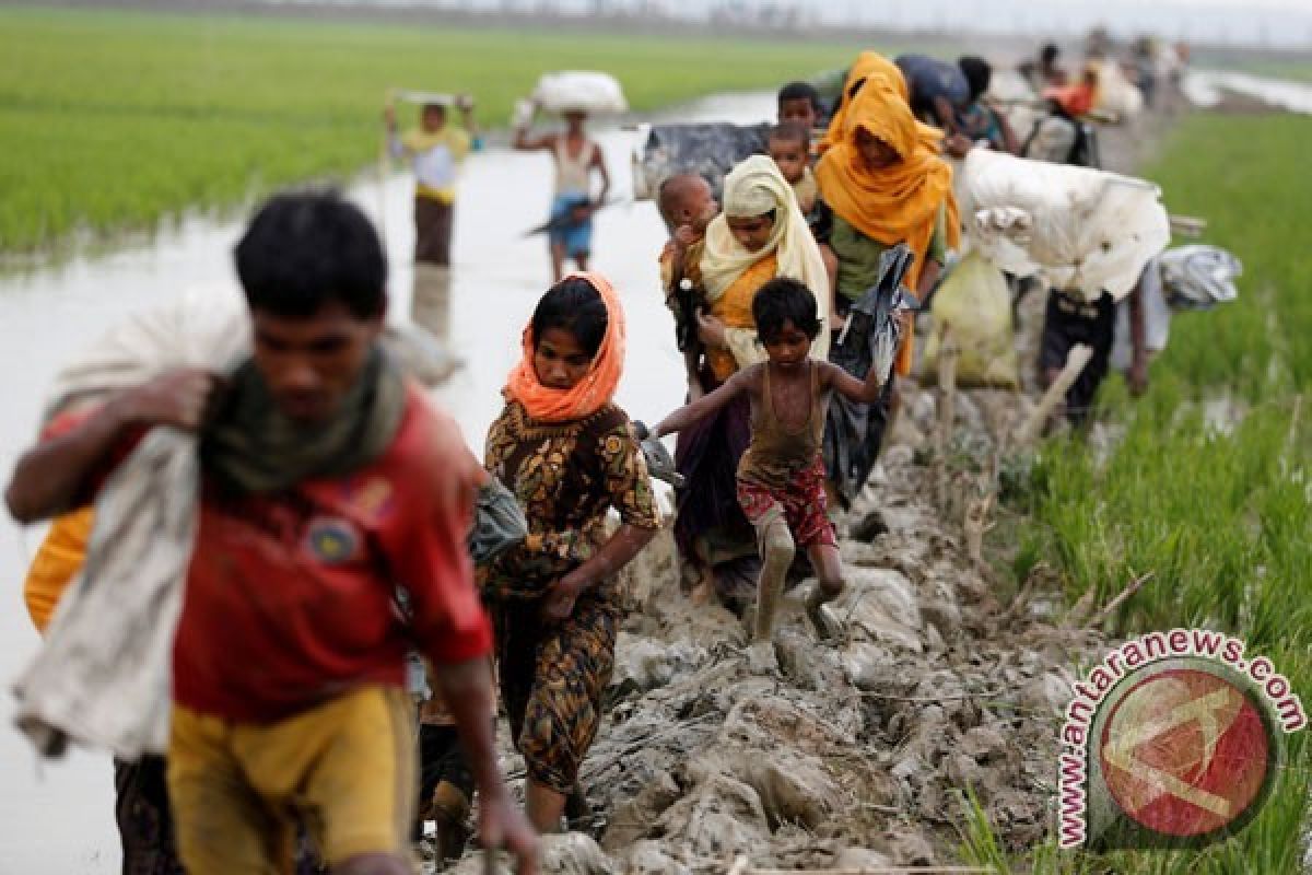 Kekerasan di Rakhine diperkirakan telah tewaskan 1.000 orang lebih