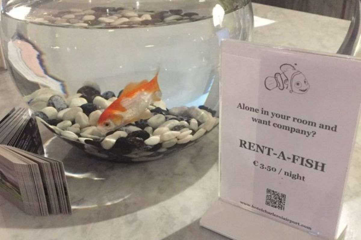 Hotel ini sewakan ikan untuk tamu kesepian