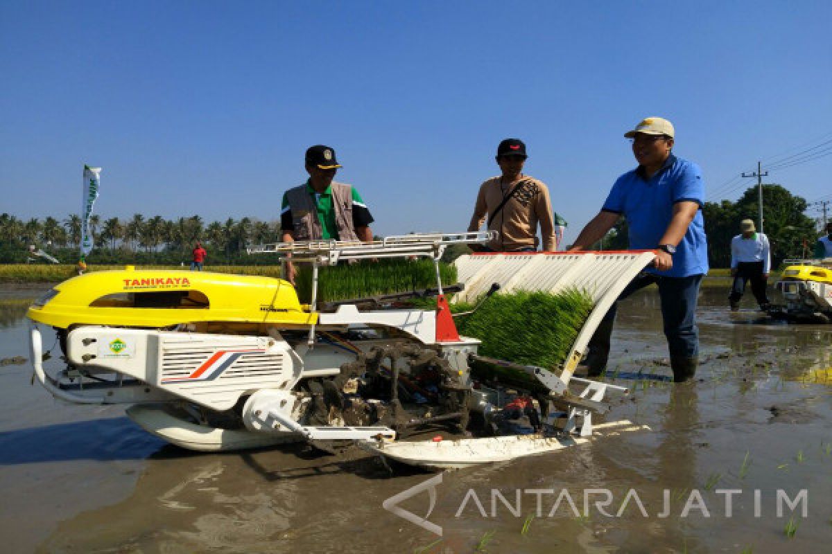 Empat Kelompok Tani Situbondo Siap Kembangkan Padi Organik